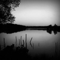 /album/glycogenun/photolia-b01-jpg/